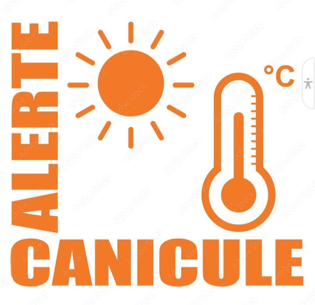 canicule